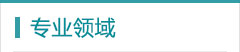 专业领域